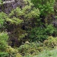 Walker-Yeatts Cemetery on Sysoon