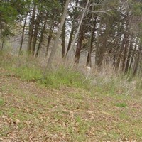 Washington Washington on Sysoon