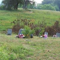 Waterview Cemetery on Sysoon