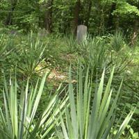 Watkins Cemetery on Sysoon