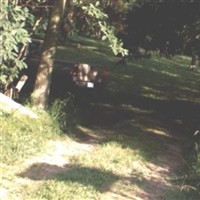 Weaver Cemetery Weaver Cemetery on Sysoon