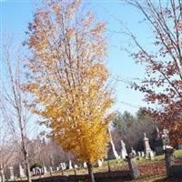 Webster Cemetery on Sysoon