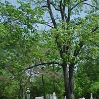 Wesley Chapel Cemetery on Sysoon