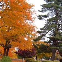 West Cemetery on Sysoon