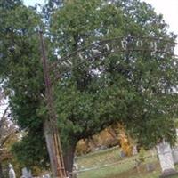 West Rome Cemetery on Sysoon