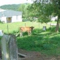 Williams Cemetery on Sysoon