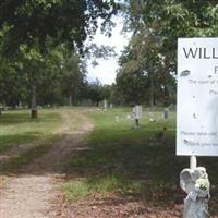 Willis Cemetery on Sysoon