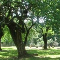 Wilson Cemetery on Sysoon