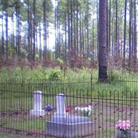 Wilson Family Cemetery on Sysoon