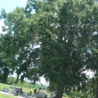 Woolen Lake Cemetery on Sysoon