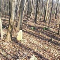 Younger Cemetery on Sysoon