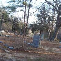 Zebulon Town Cemetery on Sysoon