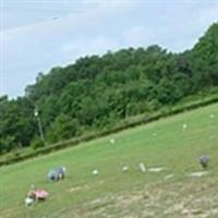 Zoar Golden Acres Cemetery on Sysoon