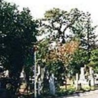 Zoshigaya Cemetery on Sysoon