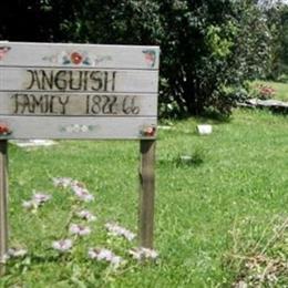 Anguish Family 1822-66