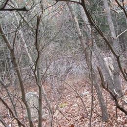 Bissell-Whipple-Stone Lot