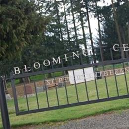Blooming Cemetery