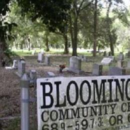 Bloomingdale Community Cemetery
