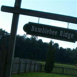Bumble Bee Ridge Cemetery