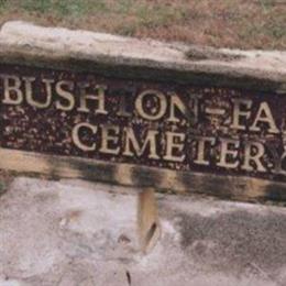 Bushton - Farmer Township Cemetery