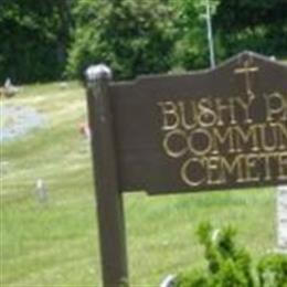 Bushy Park Community Cemetery