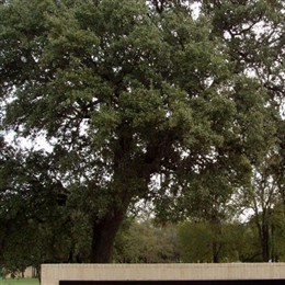 Cook Walden-Forest Oaks Cemetery