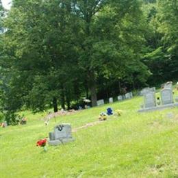 Reed Family Cemetery (Turkey Creek)