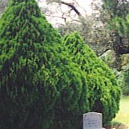Fleatown Cemetery