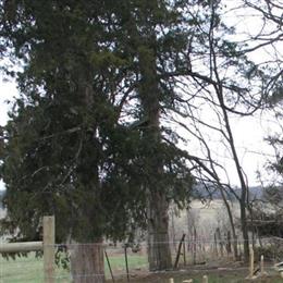 Gaines Family Cemetery