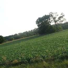 Gossett-Neff Cemetery