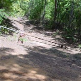 Holt Cemetery