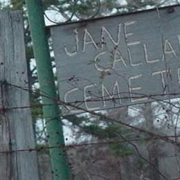 Jane Callahan Cemetery