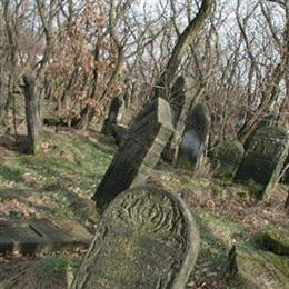 Jewish Cemetery of Zdunska Wola