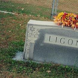 Lennie Ligon Family Cemetery