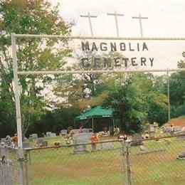 Magnolia Baptist Church Cemetery, River Rd, Vancle