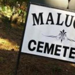 Malugin Cemetery