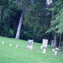 Mercer Cemetery (Spring Valley Twp)