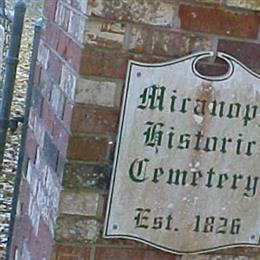 Micanopy Historic Cemetery