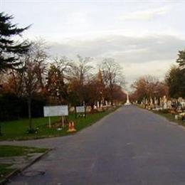 Mitcham Cemetery