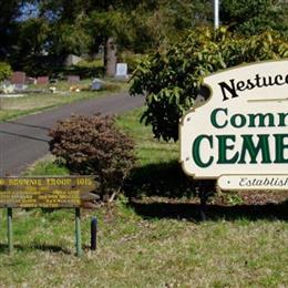Nestucca Valley Community Cemetery