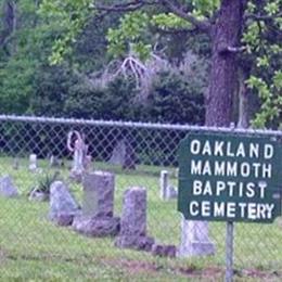 Oakland Mammoth Baptist Cemetery