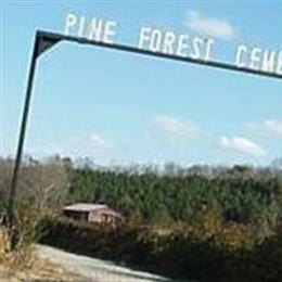Pine Forest Cemetery