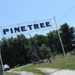 Pine Tree Cemetery