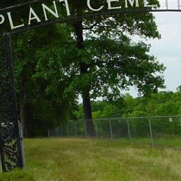 Plant Cemetery