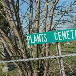 Plants Cemetery