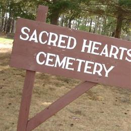 Sacred Hearts Cemetery (Scott Township)