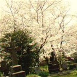 Sakamoto International Cemetery