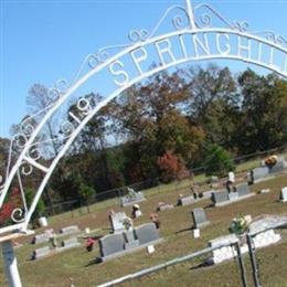 Springhill Cemetery #1