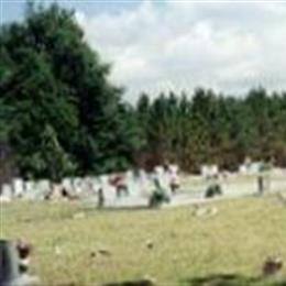 Mill Springs Missionary Baptist Cemetery (Sneads)