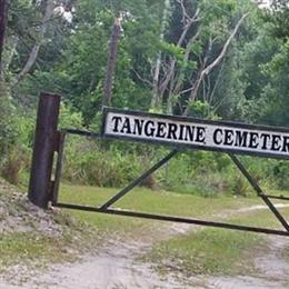 Tangerine Cemetery
